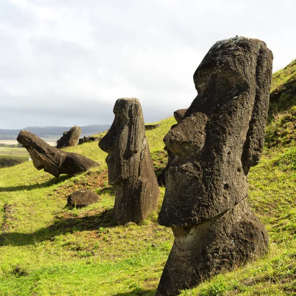 Chile Rapa Nui Antica Misteriosa Statua Muai Simbolo Antica Cultura — Foto Stock