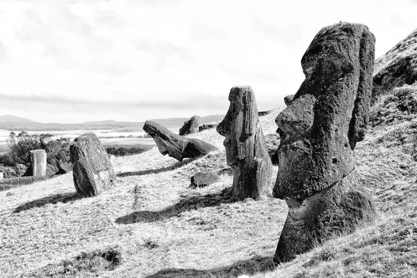 Şili Rapa Nui Bir Eski Kültür Antika Mysteriuos Muai Heykeli — Stok fotoğraf