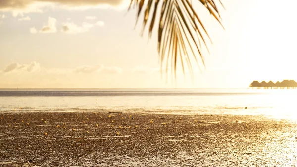 Blur Polynesia Bora Bora Sunset Coastline Resort Paradise Concept Rela — Stock Photo, Image