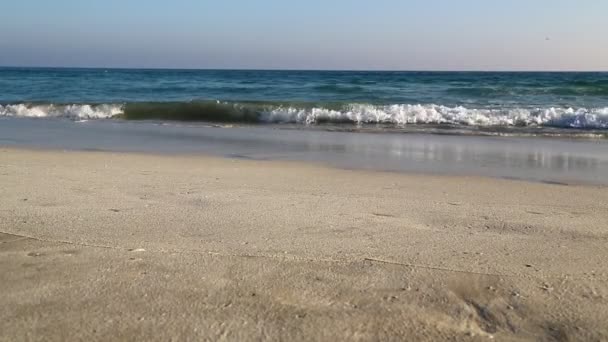 Imagens Belas Ondas Mar Costa Praia Oman Sob Céu Azul — Vídeo de Stock