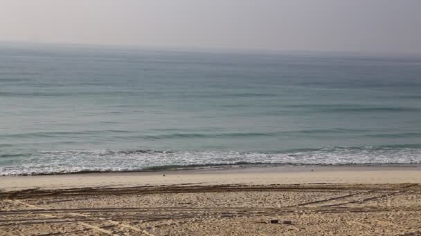 Filmaufnahmen Von Ruhigen Schäumenden Meereswellen Strand Von Oman Unter Nebligem — Stockvideo