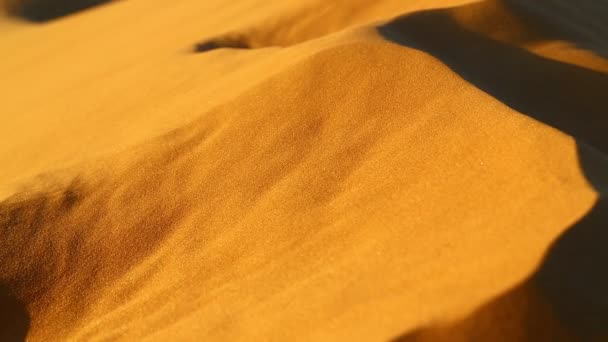 Belas Dunas Areia Cênica Deserto Oman — Vídeo de Stock