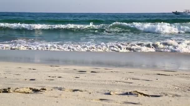 Aufnahmen Des Ruhigen Blauen Meeres Strand Von Oman Unter Klarem — Stockvideo