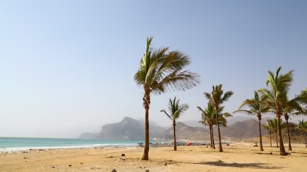 Hermosas Palmeras Montañas Playa Arena Mar Árabe Omán — Vídeo de stock