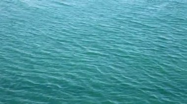 güzel yüzen su nehir Umman