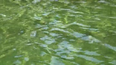 nehir güzel kayan yeşil su