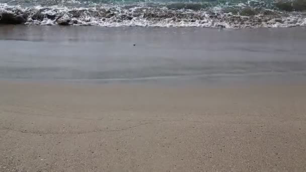 沙阿曼海滩特写镜头与波浪 — 图库视频影像