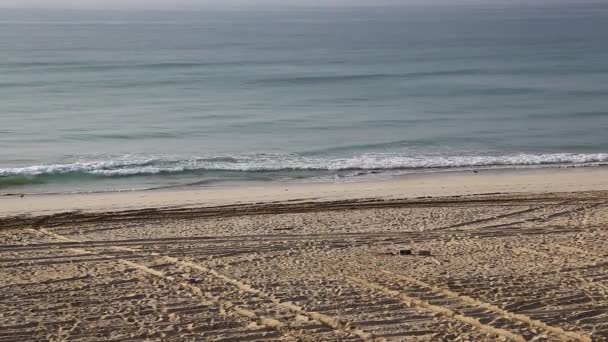 Imágenes Mar Tranquilo Costa Oman Sandy Con Huellas Neumáticos — Vídeos de Stock