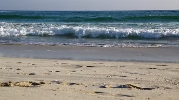 Bilder Vackra Havet Vid Oman Sandiga Stranden Blå Himmel Kvällen — Stockvideo