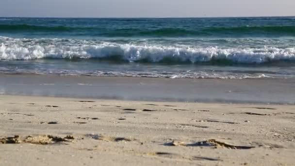 Filmaufnahmen Von Wunderschönem Meer Omanischen Sandstrand Unter Blauem Himmel Abend — Stockvideo