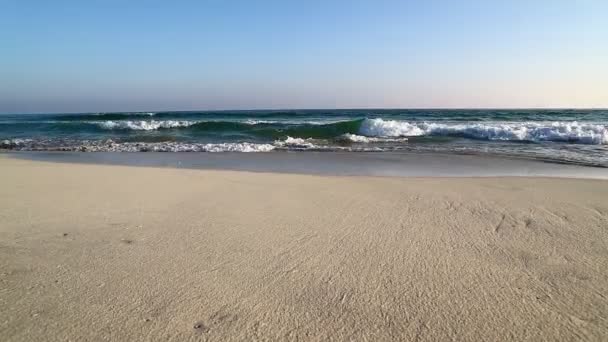 Images Plage Sable Oman Avec Mer Ondulée Sous Ciel Bleu — Video