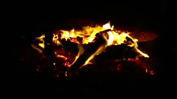 夜晚有黄色和橙色火焰的美丽篝火 — 图库视频影像