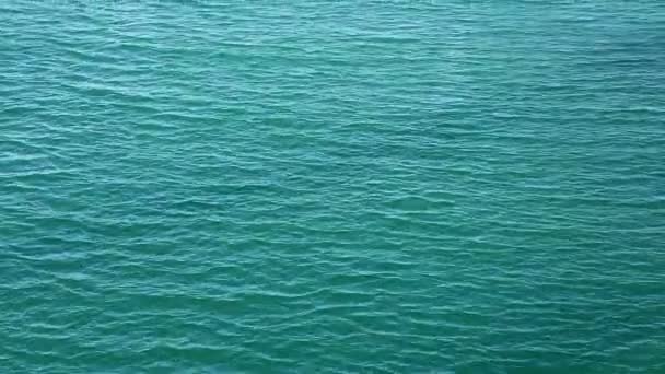 belle eau flottante dans la rivière dans oman 