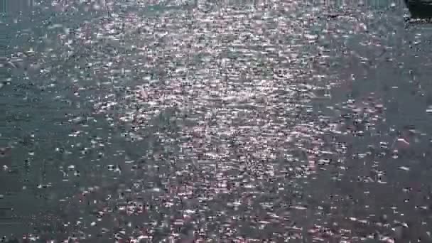 Плаваюча Абстрактна Вода Річці Фоновому Світлі — стокове відео
