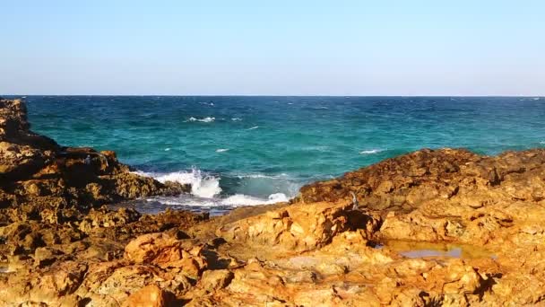 Hermosas Olas Espuma Costa Rocosa Playa Oman — Vídeo de stock