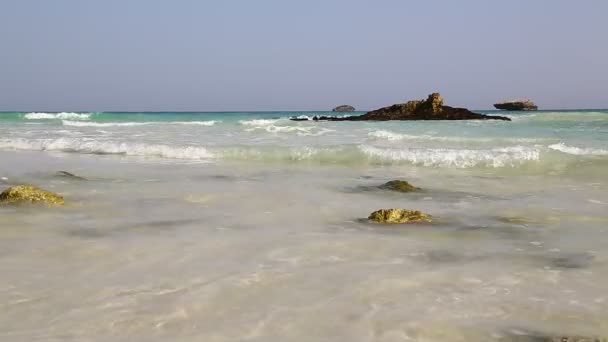 美丽的海浪和泡沫在岩石海岸线在阿曼海滩 — 图库视频影像
