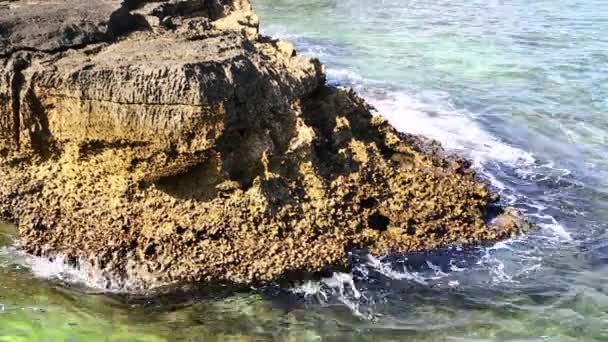 Köpük Froath Kıyı Şeridi Beach Umman Beach — Stok video