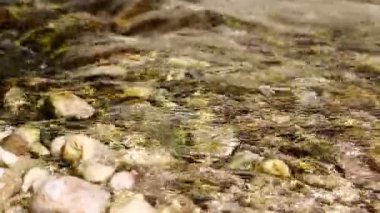 soyut su Nehri ve arka plan ışığı yüzer