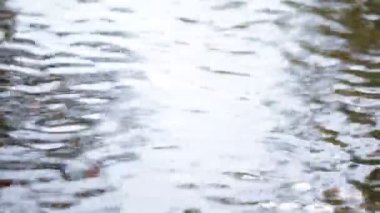 soyut su Nehri ve arka plan ışığı yüzer