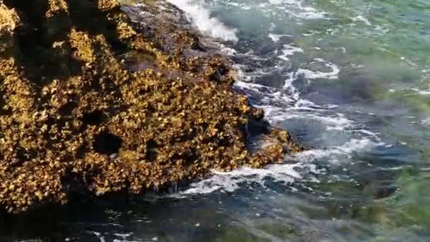 Agua Abstracta Flotante Río Luz Fondo — Vídeo de stock