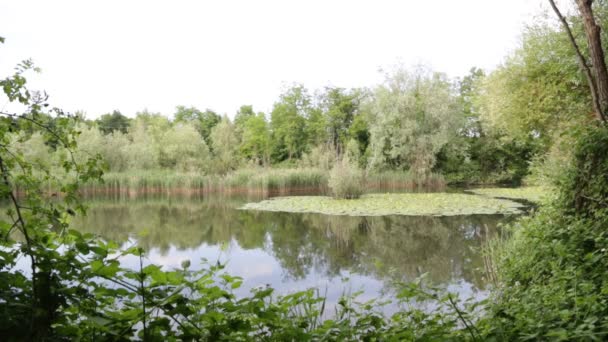 Hermosa Calma Verde Estanque Agua Italia — Vídeos de Stock