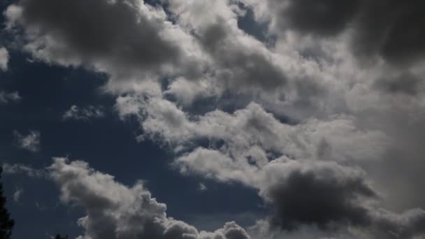 Όμορφο Γραφικό Συννεφιασμένο Ουρανό Φόντο Στην Καταιγίδα — Αρχείο Βίντεο