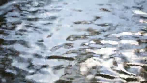 Pływających Streszczenie Wody Rzece Tło Światło — Wideo stockowe