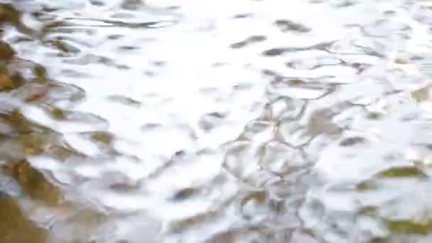 Eau Abstraite Flottante Dans Rivière Lumière Fond — Video