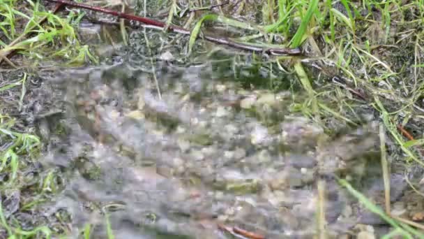 eau abstraite flottante et chute de faling dans une rivière d'italie et de lumière de fond .
