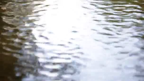 Eau Abstraite Flottante Dans Rivière Lumière Fond — Video