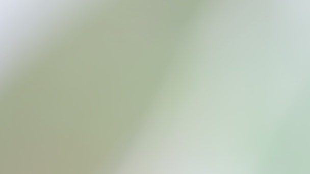 texture floue abstraite de fleur et d'herbe verte 