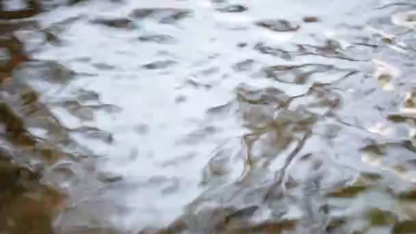 Eau Abstraite Flottante Dans Une Rivière Italie Lumière Fond — Video