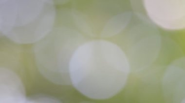 Soyut bulanık renkler arka plan bulanık görüntüleri 