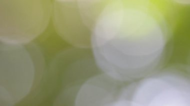 Soyut bulanık renkler arka plan bulanık görüntüleri 