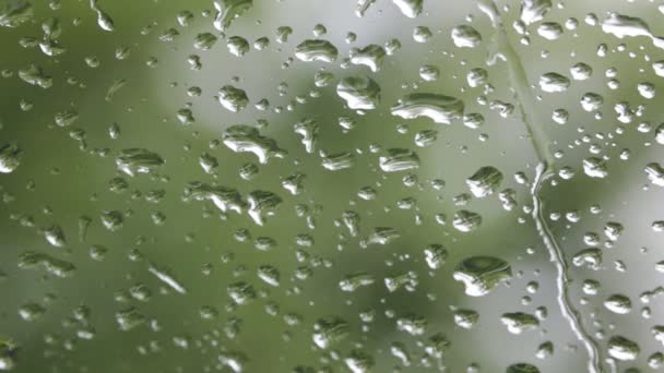 Αφηρημένη Υφή Της Βροχής Πέφτει Υαλοπίνακες Αυτοκινήτων Προβολή Μεγέθυνση — Αρχείο Βίντεο