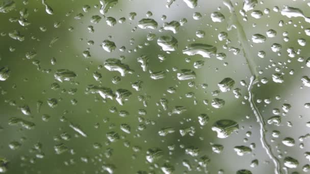 Textura Abstracta Gotas Lluvia Vidrio Del Coche Vista Cerca — Vídeos de Stock