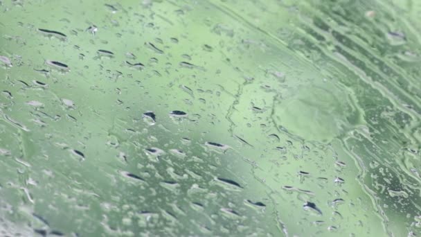 Close Footage Water Droplets Window Glass Blurred Natural Background — Stock Video