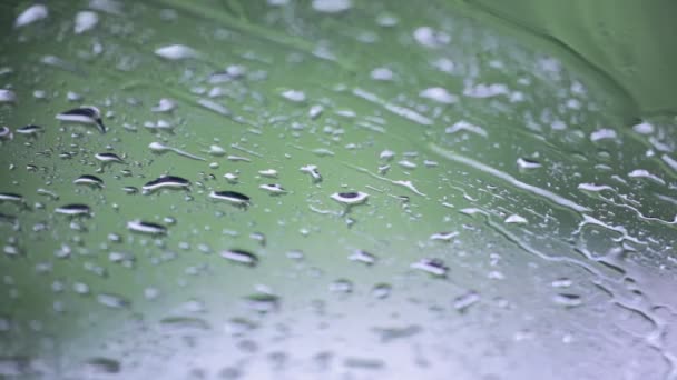 Close Footage Water Droplets Window Glass Blurred Background — Stock Video
