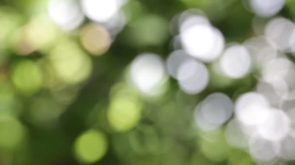 des images floues d'un fond abstrait de couleurs floues  