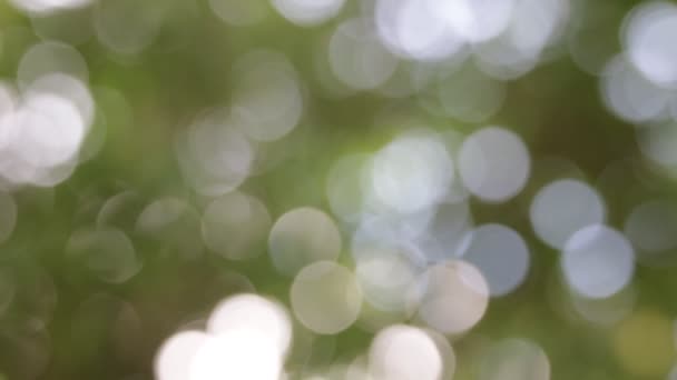 des images floues d'un fond abstrait de couleurs floues  