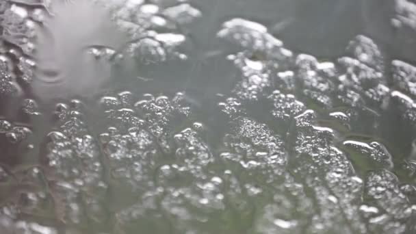 Close Beelden Van Waterdruppels Vensterglas Met Onscherpe Achtergrond — Stockvideo