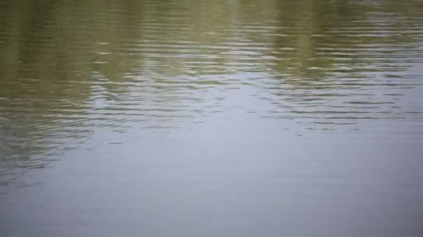 images tranquilles de la surface ondulée de l'eau de la rivière ou du lac 