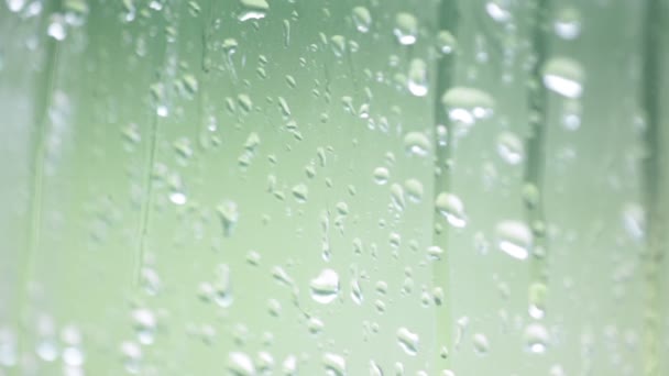 Nahaufnahme Von Wassertropfen Auf Fensterglas Mit Unscharfem Natürlichen Hintergrund — Stockvideo