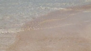 rangiroa kıyı şeridinde güzel pembe kum ve şeffaf okyanus, polinezya 