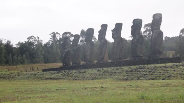 Moai Figuras Humanas Monolíticas Esculpidas Pelo Povo Rapa Nui Ilha — Vídeo de Stock