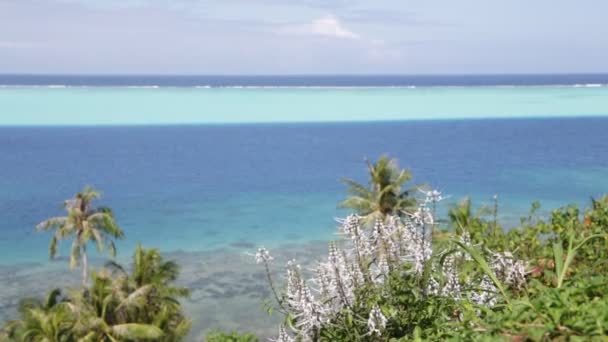 Vyhlídkové Záběry Pobřežní Laguny Ostrova Bora Bora — Stock video