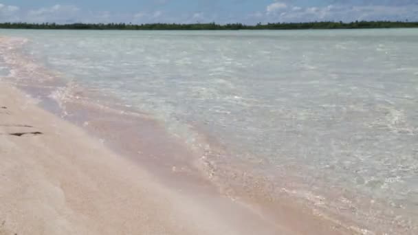 ポリネシア ランギロアの海岸線で美しいピンクの砂と透明な海 — ストック動画
