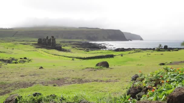 Moai Monolitikus Emberi Alakok Faragott Rapa Nui Emberek Húsvét Szigeten — Stock videók