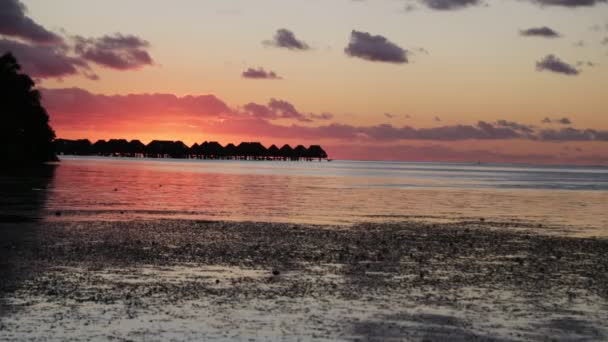 夕日のボラボラの海岸線のラグーンの風光明媚な映像 — ストック動画