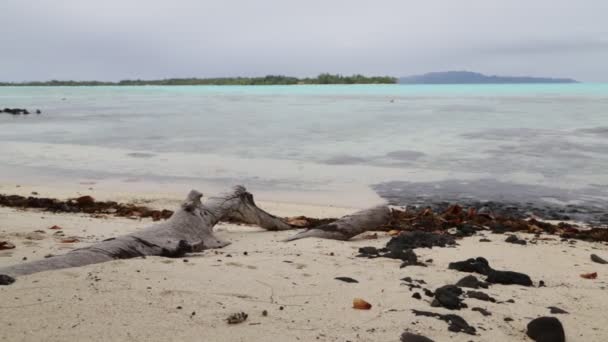 Bora Bora Sahil Şeridi Lagün Doğal Görüntüleri — Stok video